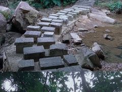 -广州白江湖森林公园