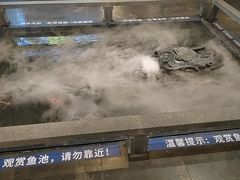 -安徽人家(奥体店)