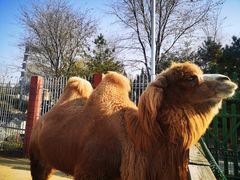 -Supine Bistro溯泮餐厅