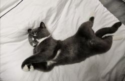 店内环境-Pink You美甲美睫纹绣定制中心