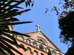 -上海佘山国家森林公园西佘山园