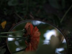 -映月湖中央公园
