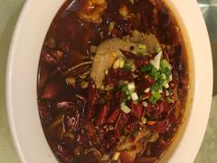 -府苑美食(政七街店)