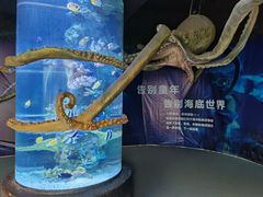 -杭州海底世界