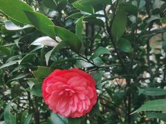 -云溪植物园