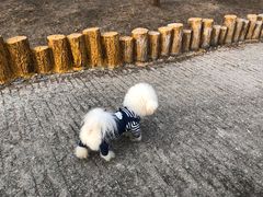 -白水寺森林公园