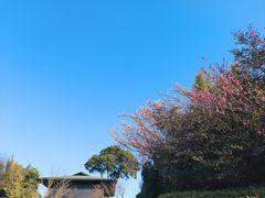 -天目湖涵田半山温泉