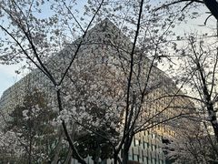 -南京鼓楼医院(鼓楼本部)