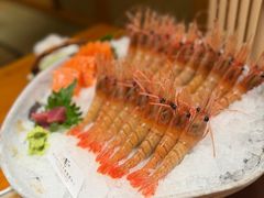 牡丹虾-月龍吟(朝龙汇店)