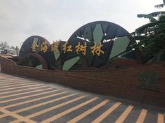-北海金海湾红树林生态旅游区