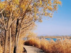 -野鸭湖国家湿地公园