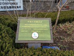 -烟墩角天鹅湖