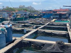 -蓝湾碧波·老字号·疍家非遗海上餐厅