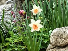 -郑州中国绿化博览园