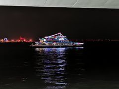 -演武大桥观景平台