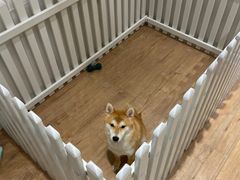 -CHEZ JASMINE 茉莉的氧气厨房