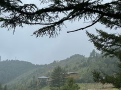 -驼梁风景区