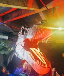 -恐龙探索乐园(磁器口店)