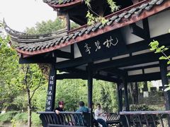 -桂湖森林公园