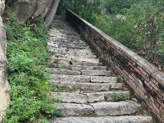 -北京凤凰岭