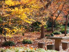 -上海共青森林公园