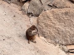 -青藏高原野生动物园