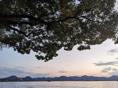 -湖滨28中餐厅·西湖宴·杭州君悦酒店