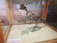 -国家自然博物馆