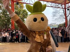 -海合安武汉极地海洋公园