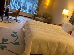 -惠州康帝国际酒店