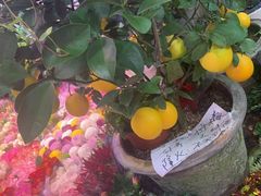 -三旗百汇商品城