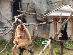 -杭州野生动物世界