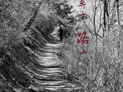 -阳台山自然风景区
