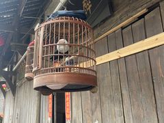 -海窝子古镇