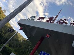 -野象谷景区