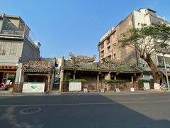 -老妈宫粽球
