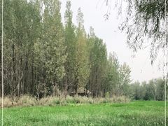 -白鹭湾湿地公园