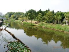 -映月湖公园
