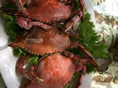 -老虎滩船说·海胆水饺·大连海鲜(老虎滩店)