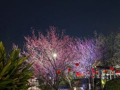-成飞公园