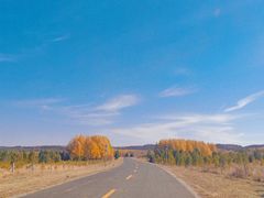 -塞罕坝国家级自然保护区