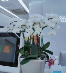 -悟空祛痘·诺奖技术专业店