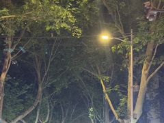 -健康路夜市