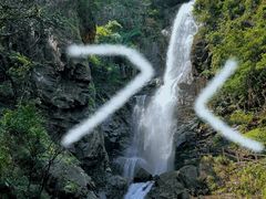 -姑婆山旅游区