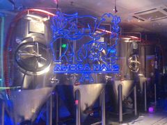 -Ambra Haus琥珀屋精酿餐厅(宝山店)