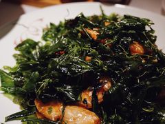 藤椒炒虾-悦景酒家(罗湖店)