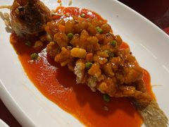 松子生态大黄鱼-宋园·金宴浙鲜馆(静安店)