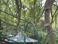 -一江春水·杭帮臻宴(三台山店)