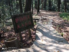 -西湖风景区十里琅珰-五云山