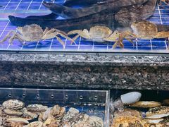 -粤珍轩·家宴·广式茶点(新城广场店)